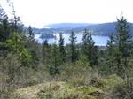 View of Campbell Lake from the Mt. Erie conservation easemement